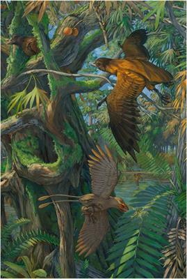 Editorial: Early Avian Evolution